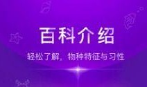 生活百科视频爆料大全,视频爆料大全精选解析
