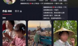 新昌抖音爆料事件最新,揭秘背后真相与网络舆论风暴