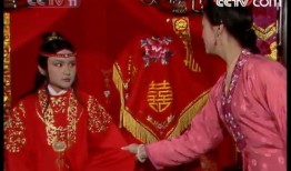 87牌红楼梦在线观看,在线观看，穿越时空的古典韵味