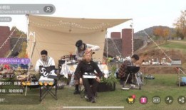 英国爆料空乘事件视频播放,揭秘航空业不为人知的真相