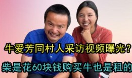 采访爆料视频,采访爆料视频背后的惊人真相