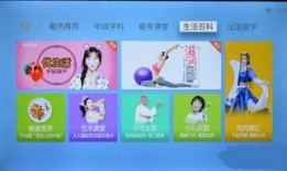 生活百科视频爆料大全,视频爆料大全精选解析