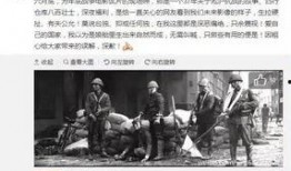 儋州爆料新闻事件始末视频,真相与争议交织的始末