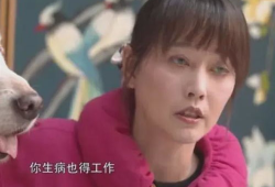 黄安爆料周海媚视频,娱乐圈真相再掀波澜