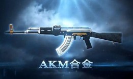 合金新武器爆料怎么做视频,视频制作攻略全解析