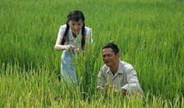 国外爆料袁隆平视频播放,国外视角下的杂交水稻传奇
