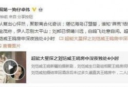 美菜网回应被爆料视频,澄清真相与应对措施揭晓