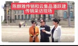 采访爆料视频,采访爆料视频背后的惊人真相