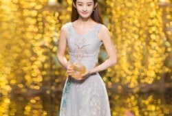 赵丽颖婚姻爆料新闻视频,真相背后引热议