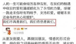 卓伟爆料李晨圈内消息,真相背后引热议
