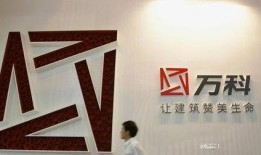 万科新闻爆料,揭秘万科最新动态与未来战略布局