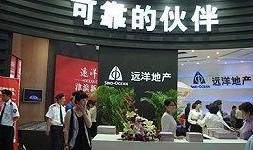 远洋地产最新爆料新闻,揭秘企业转型与市场布局新动向