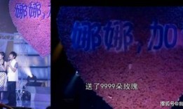加油玫瑰在线观看,在线共赏加油玫瑰