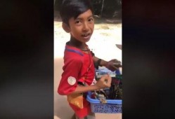 枫丹小男孩爆料视频,爆料视频背后的惊人真相
