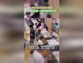 天津女孩爆料视频曝光,天津女孩爆料视频引发热议