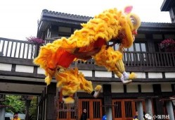 舞狮少年爆料视频大全,独家爆料视频大全精彩瞬间