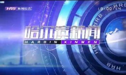 哈尔滨爆料新闻免费,惊曝某知名企业涉嫌违规操作，真相令人震惊！