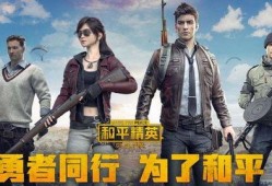 和平精英总裁爆料视频,游戏幕后故事与未来展望